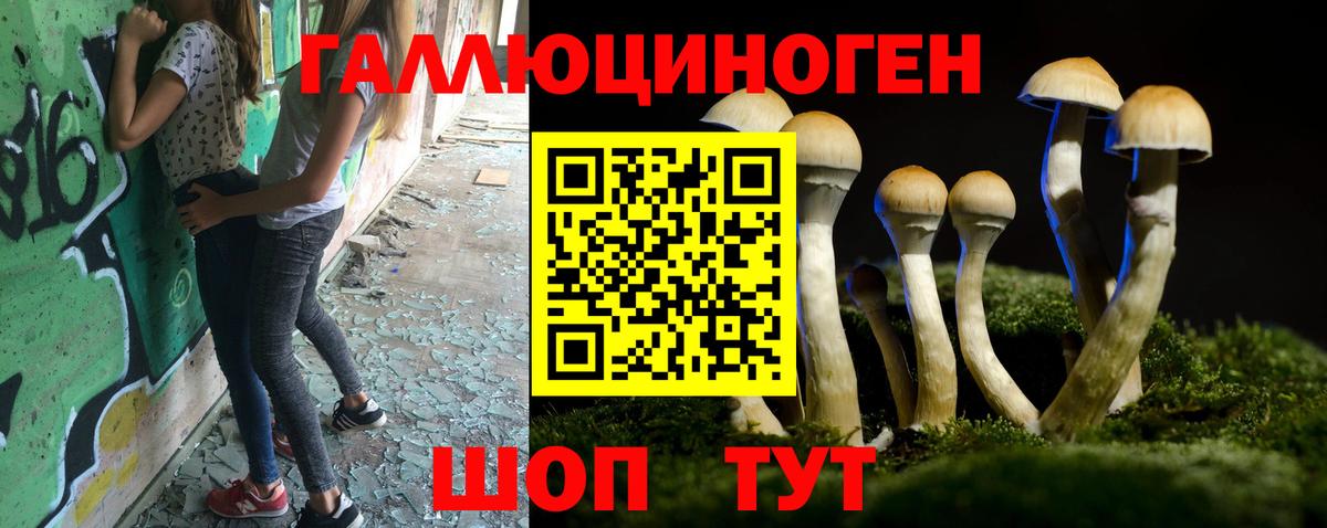 Псилоцибиновые грибы Magic Shrooms  Вход с VPN  Сарапул 