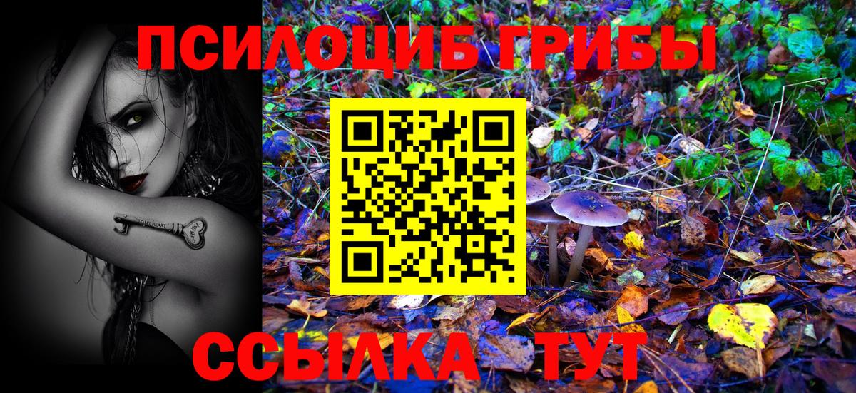 Галлюциногенные грибы прущие грибы Сарапул